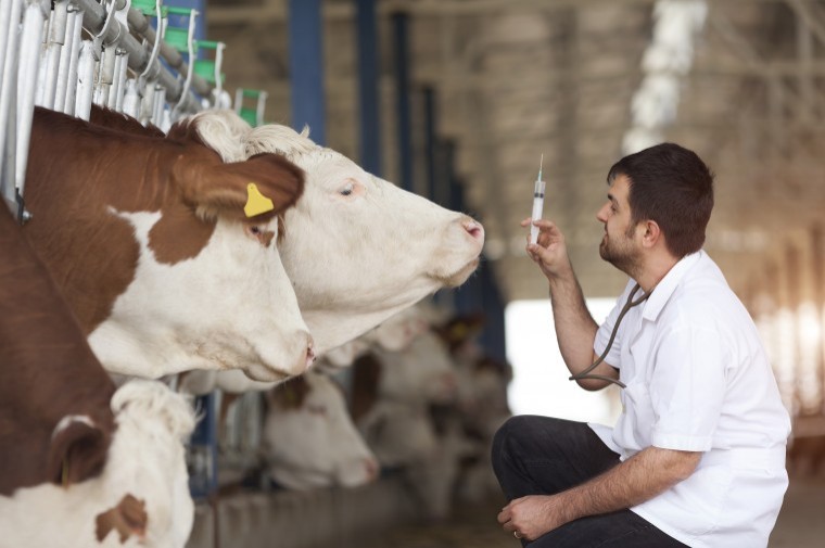 New training programme for antibiotic use