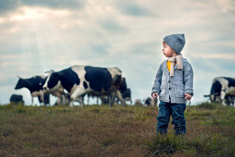 Keeping children safe on the farm