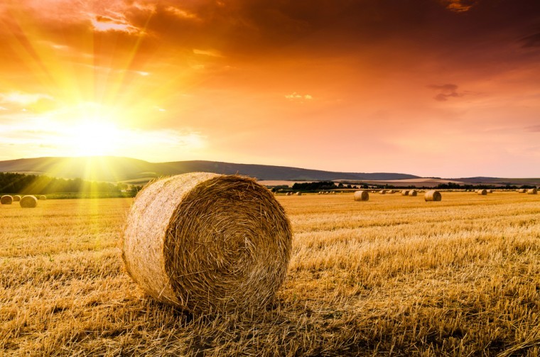 More straw baled