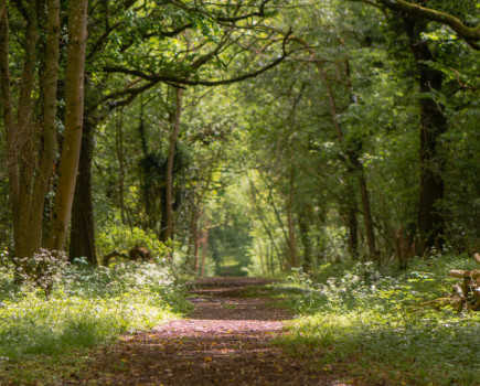 Preserving precious habitats