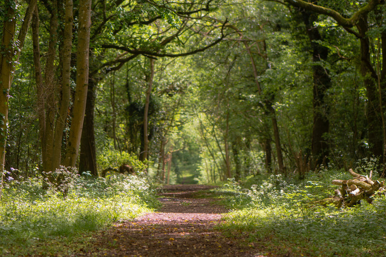 Preserving precious habitats