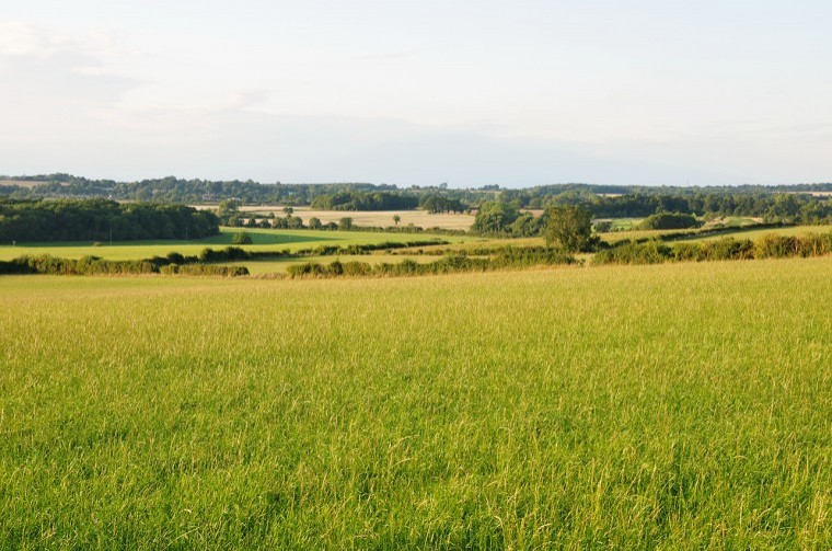 Pay farmers to put grass leys in arable rotations