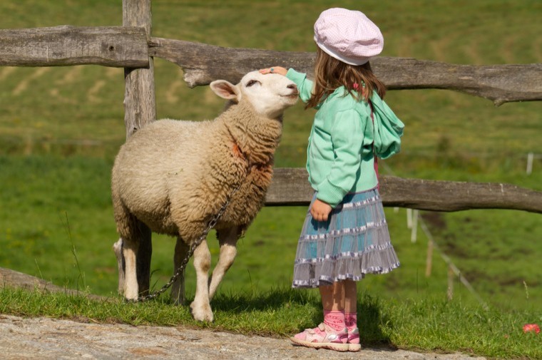 Farmers looked at more favourably