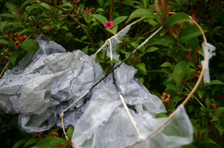 ‘Stop using dangerous sky lanterns’ says CLA