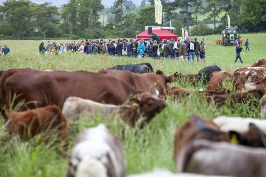 Another successful event at farming’s Glastonbury