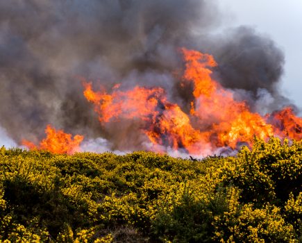 Wildfire warning issued