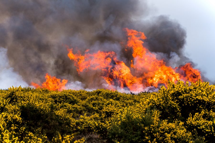 Wildfire warning issued