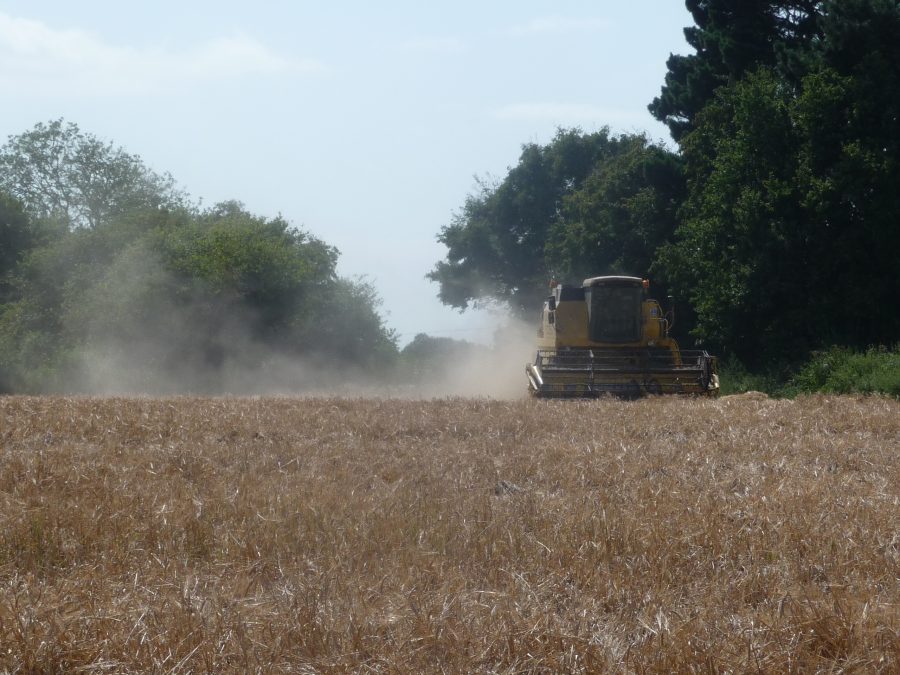 NICK ADAMES: Vital harvest almost finished