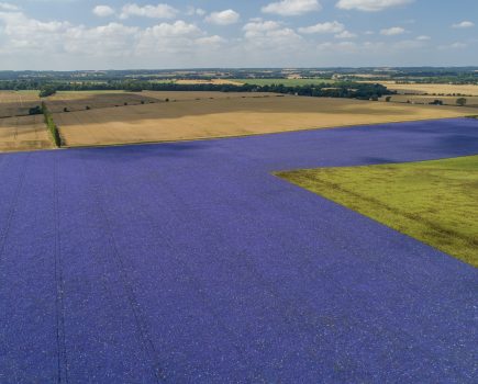 Grade I land expected to act as ‘bellwether’ sale for future of UK farming