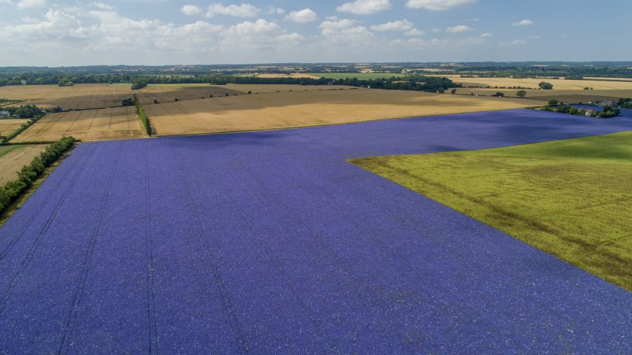 Grade I land expected to act as ‘bellwether’ sale for future of UK farming