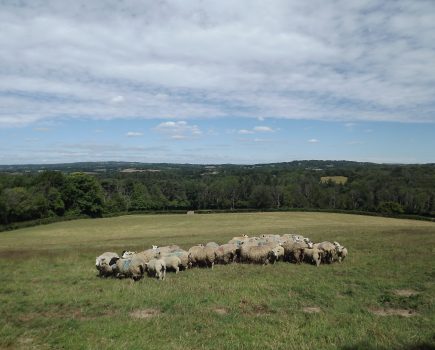 Residential grassland farm in much sought-after location