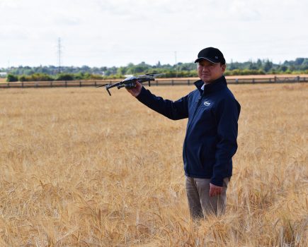 Drones proven to aid plant breeding