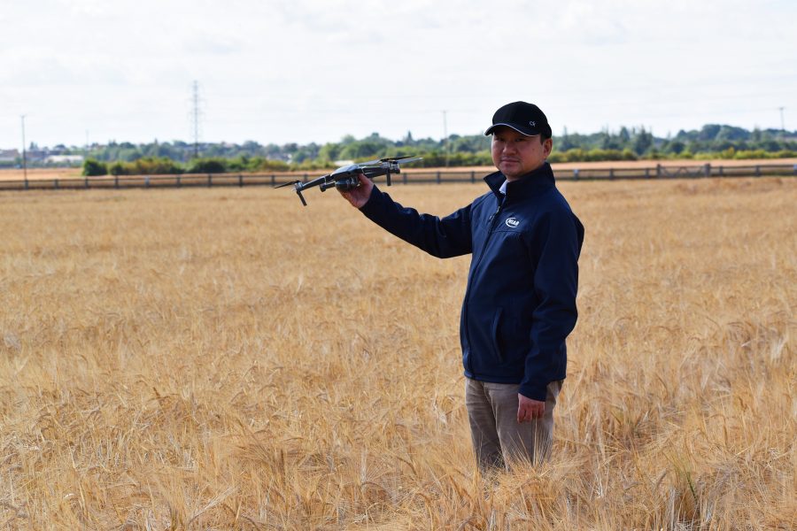 Drones proven to aid plant breeding