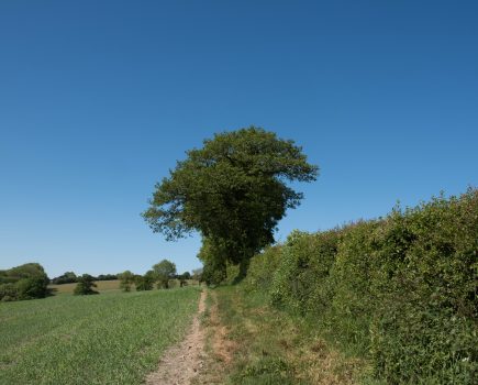 The role of farming in tackling climate change