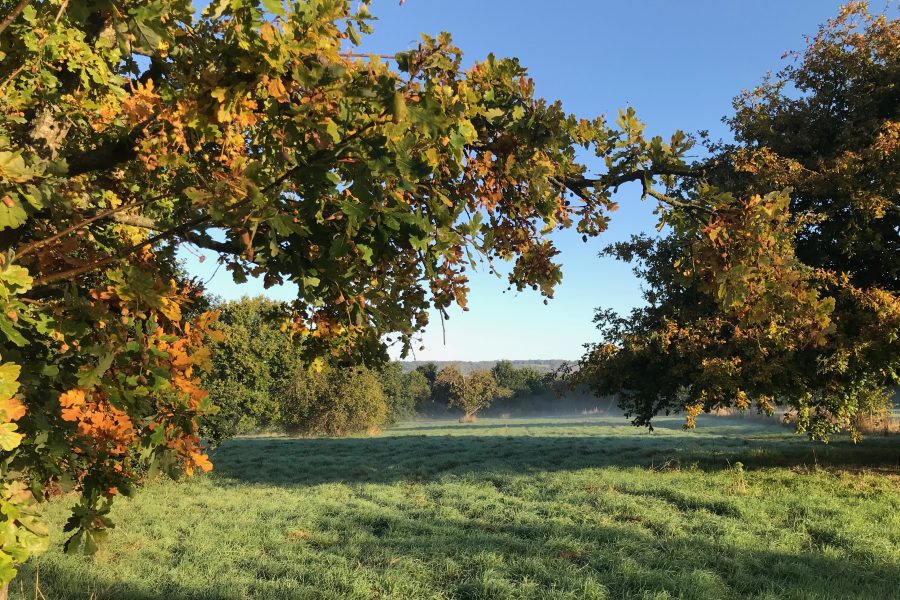 ALAN WEST: Autumn’s presence