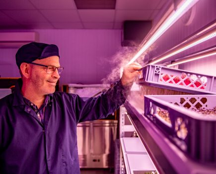 Two local farming families partner in vertical farming venture