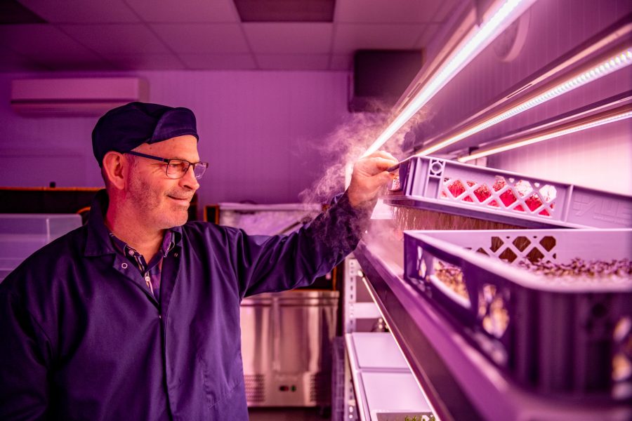 Two local farming families partner in vertical farming venture