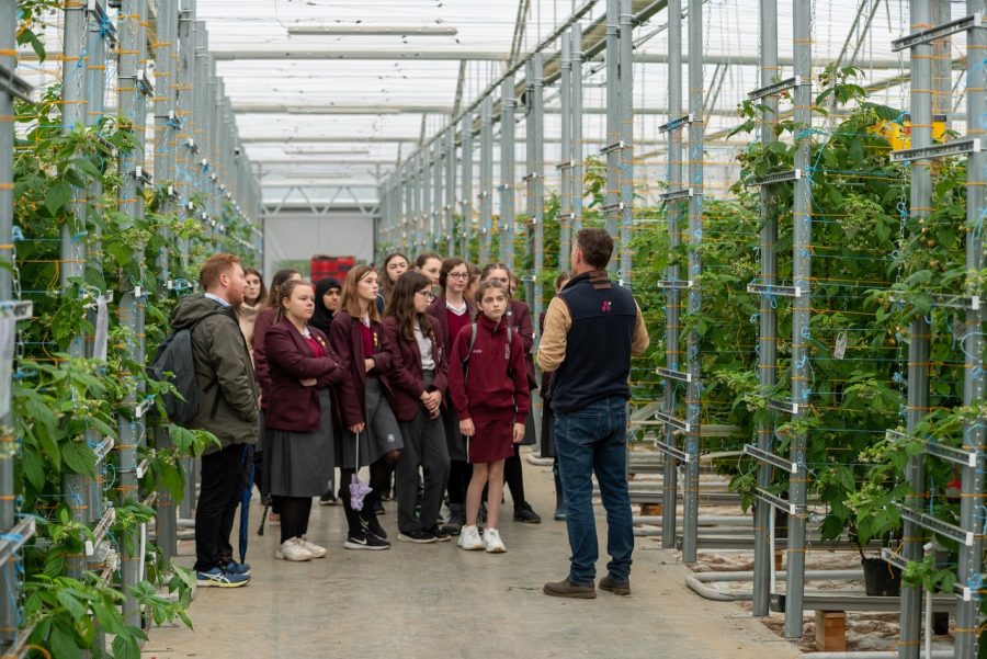 Soft fruit grower offers eco tours to schools to showcase its pioneering green energy project
