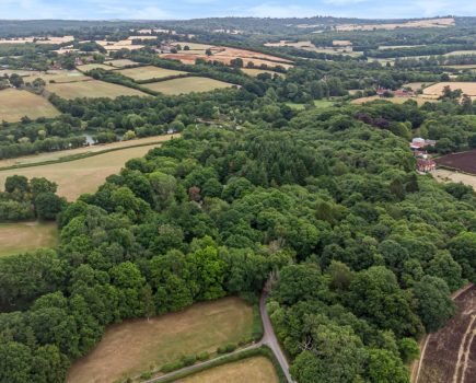 Attractive block of ancient woodland