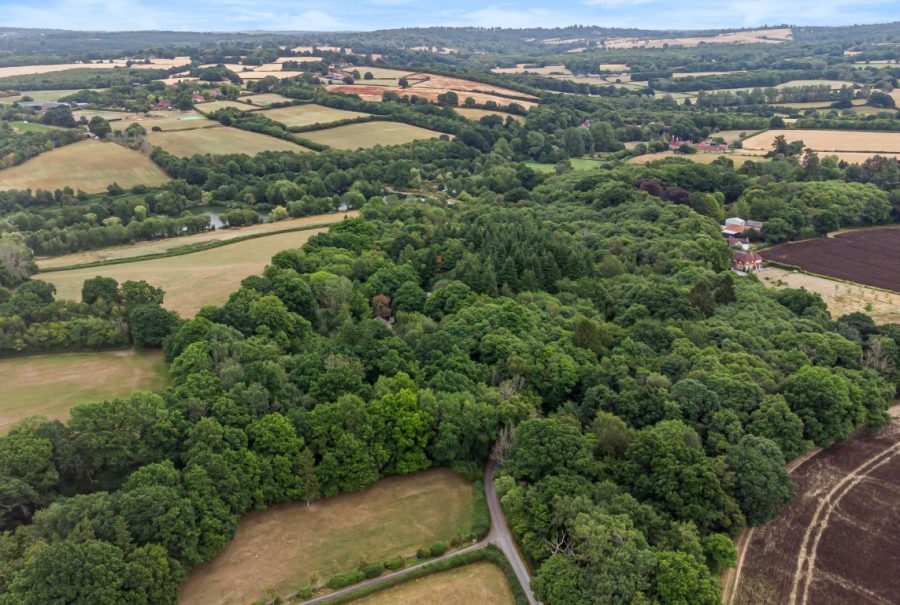 Attractive block of ancient woodland