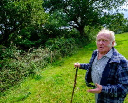 Farmers want funding to extend hedgerow network and boost nature