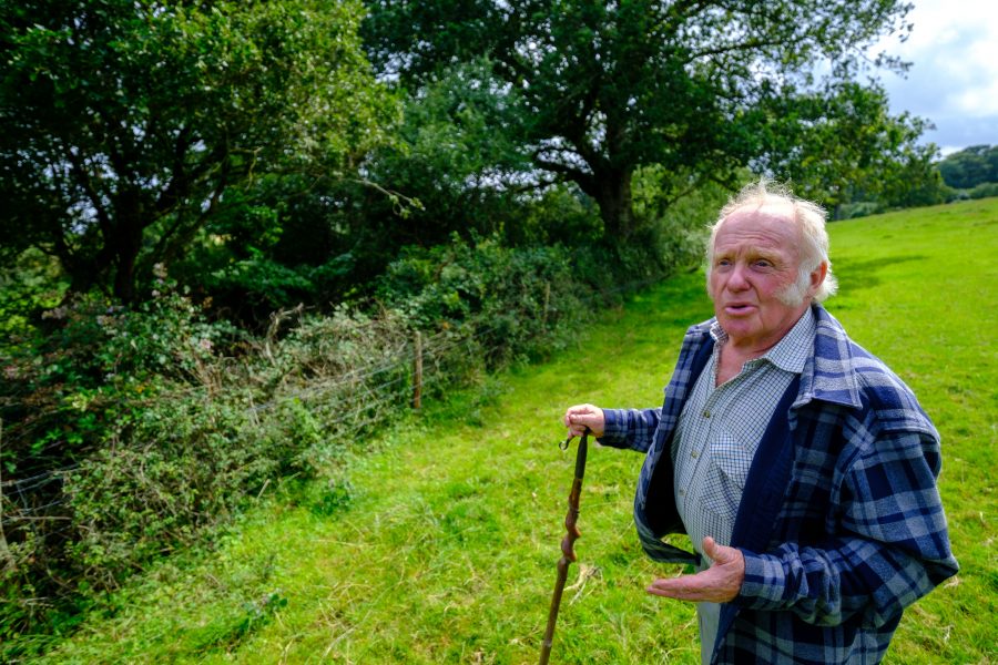 Farmers want funding to extend hedgerow network and boost nature