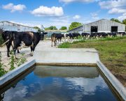 Farmers urged to check for water leaks