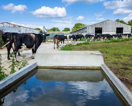 Farmers urged to check for water leaks