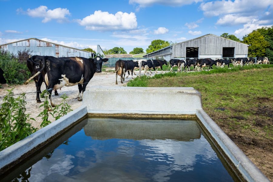 Farmers urged to check for water leaks