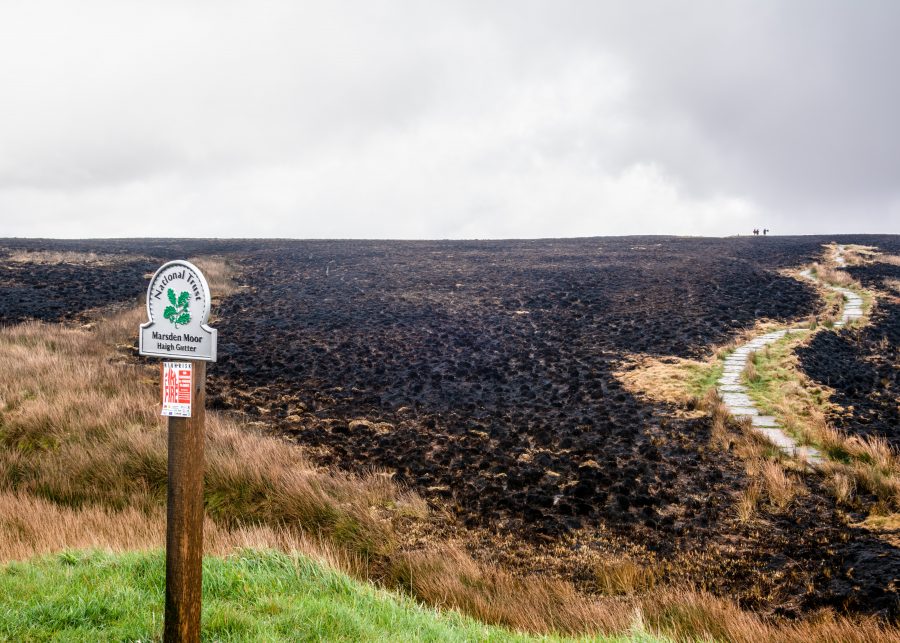 Cost of farm fires in the South East rises to £14m