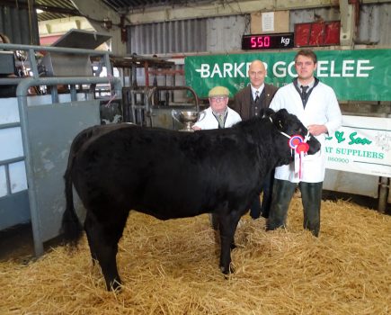 Colchester Prime Stock Show