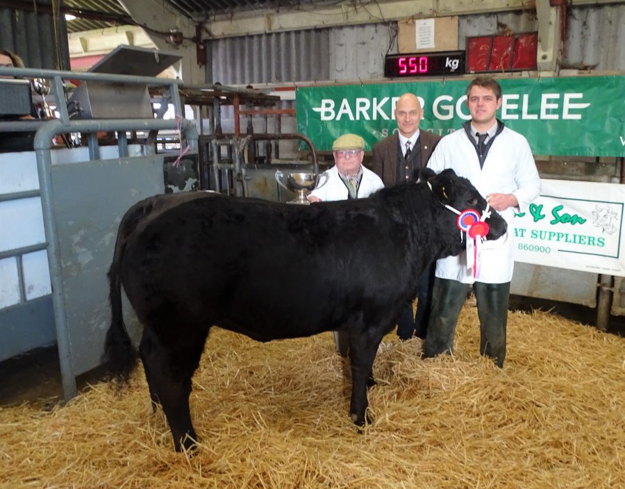 Colchester Prime Stock Show