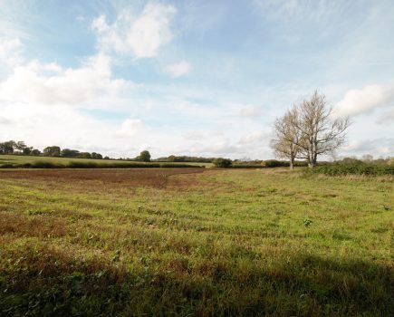 Valuable block of farmland