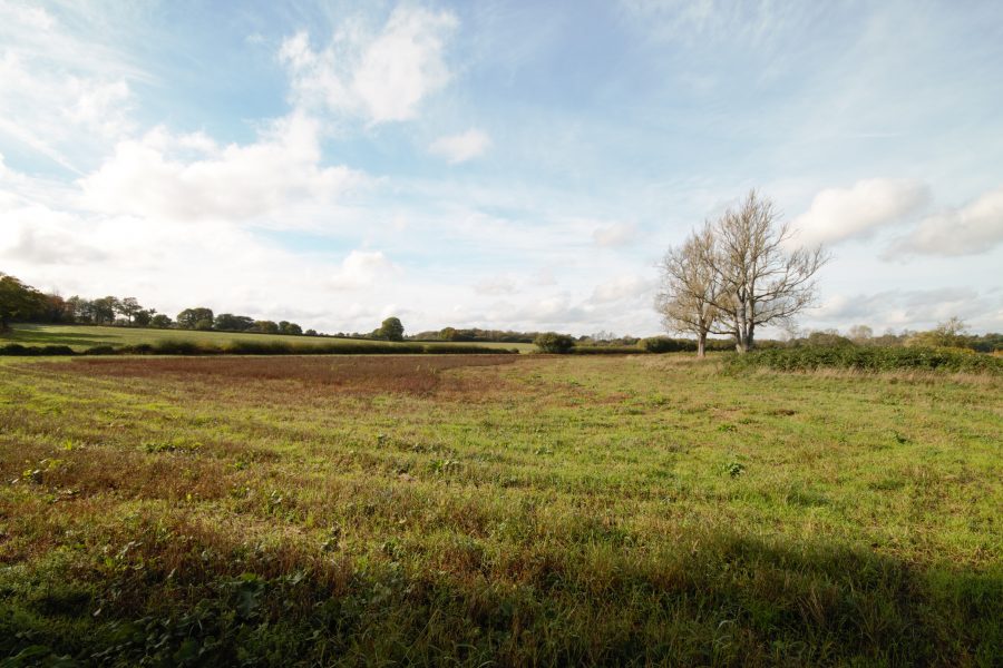 Valuable block of farmland