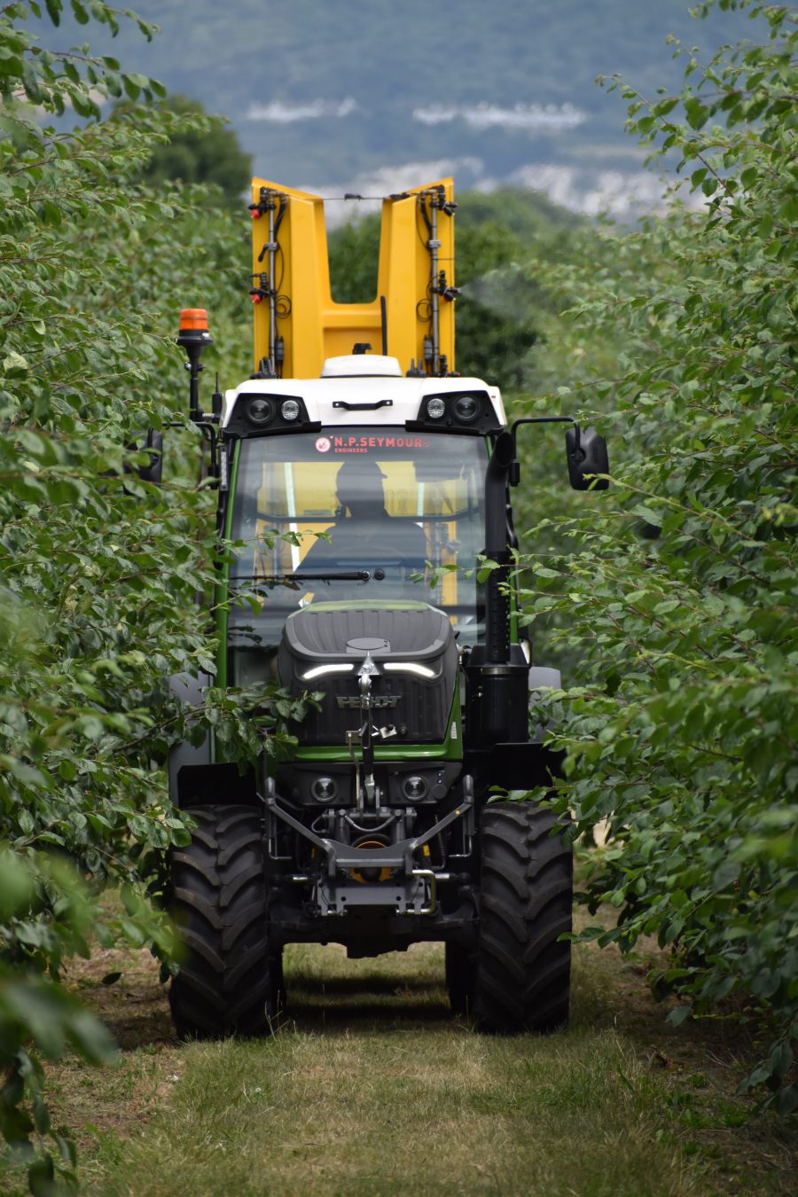 Free tree fruit research webinar