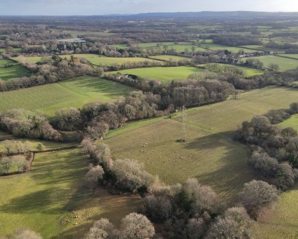 Established West Sussex vineyard