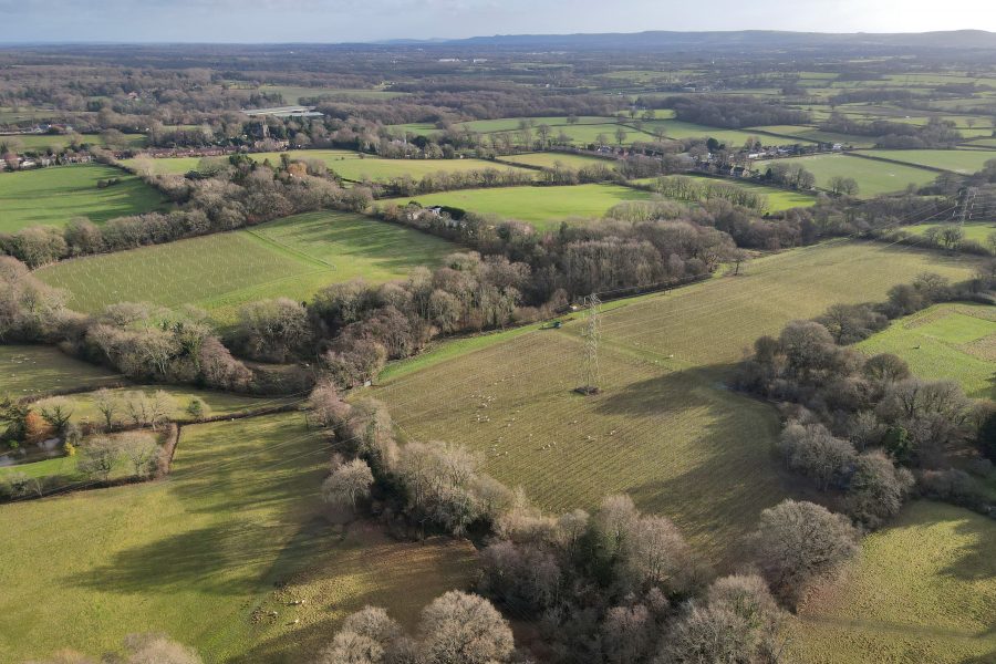 Established West Sussex vineyard