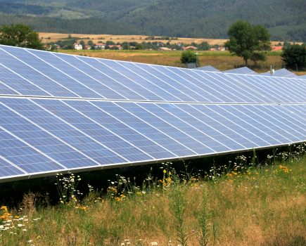 Solar farms increase biodiversity