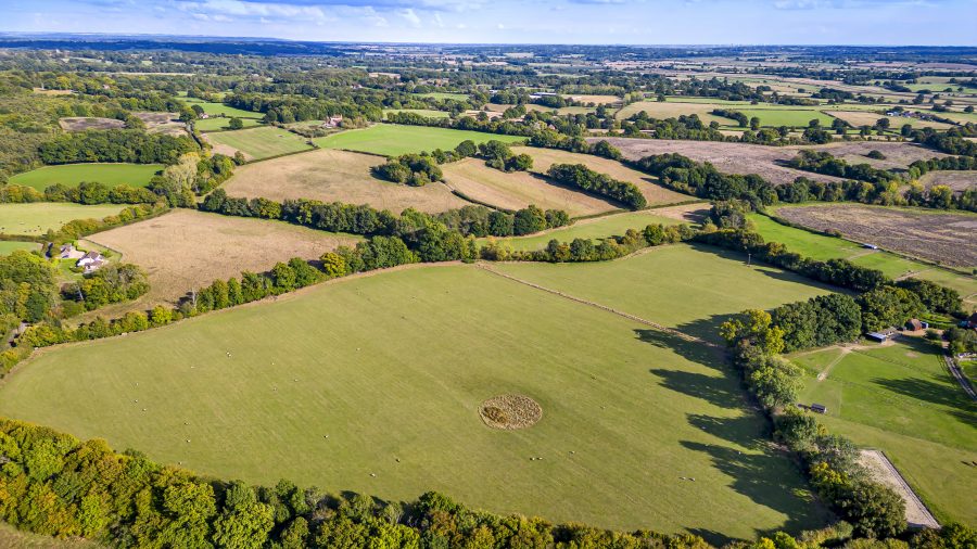 Attractive Grade III Wealden pasture