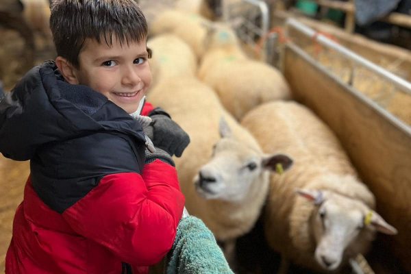 South Brockwells Farm scoops a ‘Rural Oscar’