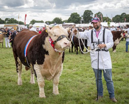 Livestock showing a priority