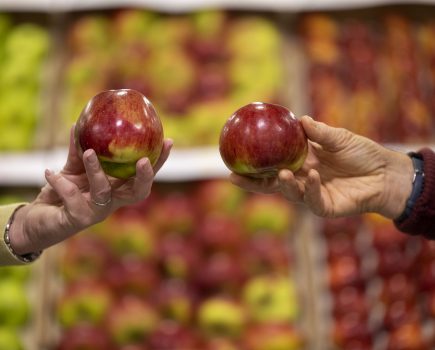 SARAH CALCUTT: Will the increase in free childcare hours help farmers?