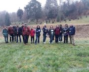 Hadlow College’s Commercial Horticulture Degree Students visit The Millennium Seed Bank and  Heritage Gardens