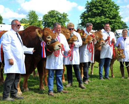 Full programme of livestock competition