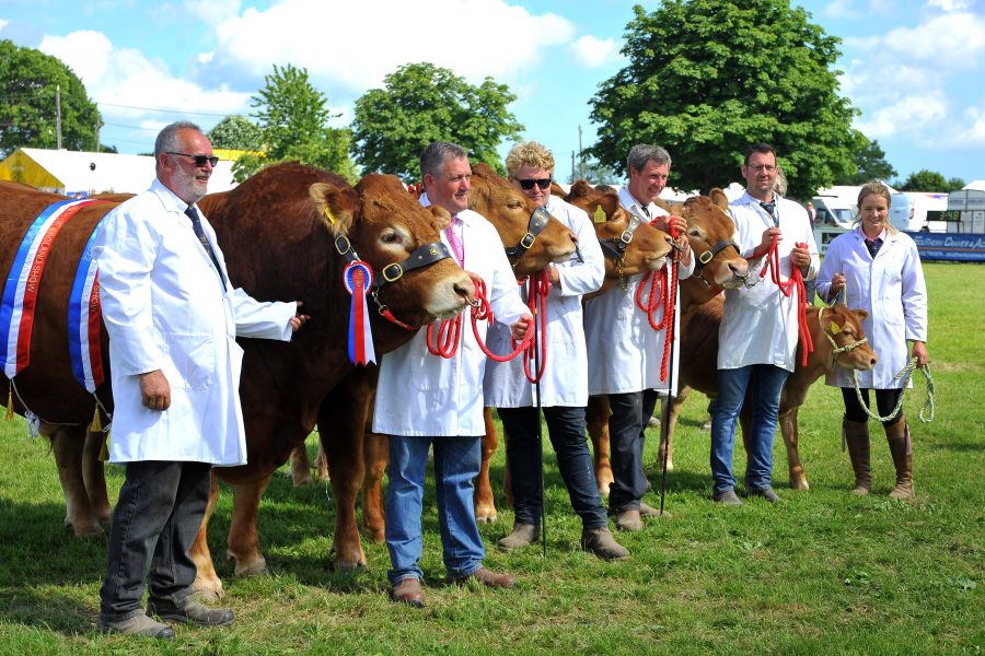 Full programme of livestock competition