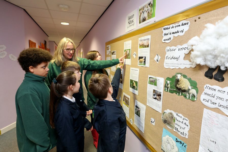 Nearly 4,000 school children in Surrey and Sussex to benefit from Loan a Lamb farming initiative