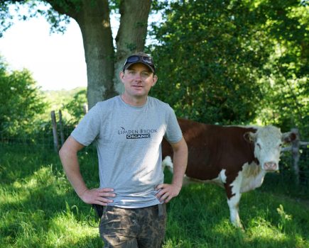 Local farm restoring nature and producing nutrient rich food 