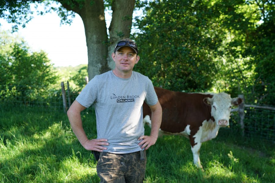 Local farm restoring nature and producing nutrient rich food 