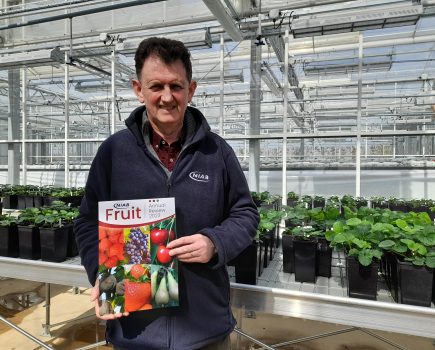 NIAB fruit research summarised in new publication