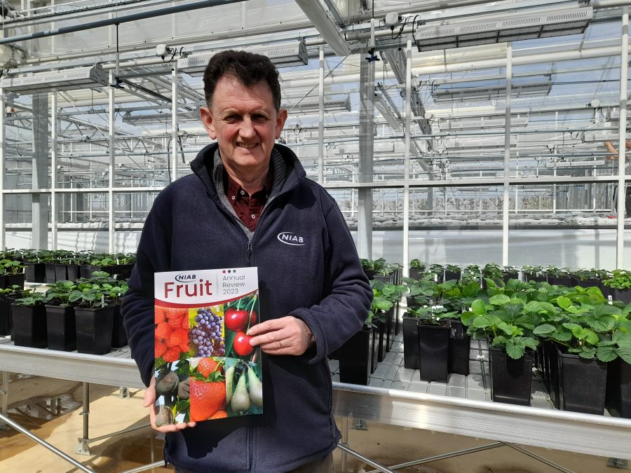 NIAB fruit research summarised in new publication